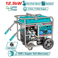 موتور برق 12.5کيلو وات توتال مدل TP11500008SB