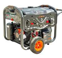 موتور برق 10کیلووات ریموت استارت لوتیان مدل LS13500EBR - LUTIAN